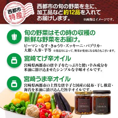 ふるさと納税 西都市 農家直送新鮮野菜と『うま辛&てげ辛オイル』セット【先行受付】[2609] |  | 01