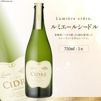 ふるさと納税 韮崎市 韮崎産リンゴ100%使用　ルミエール シードル750ml　1本