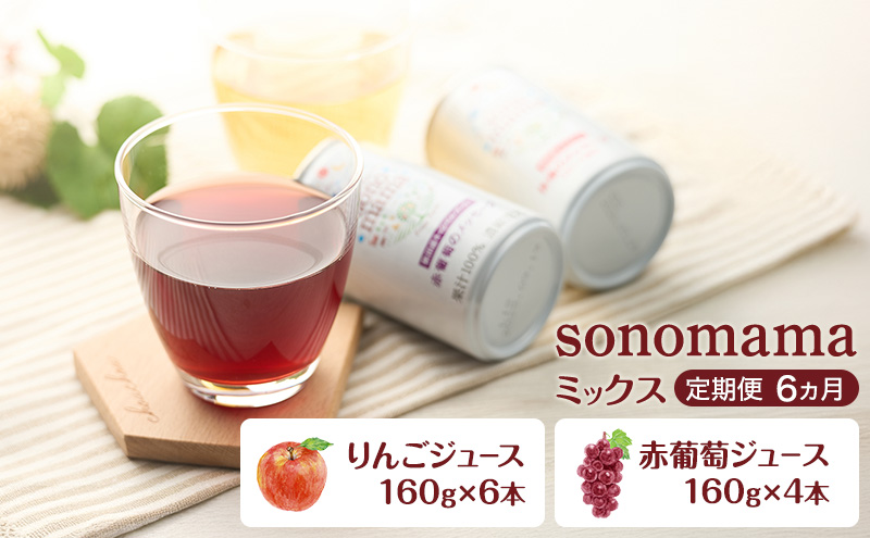 《 定期便 6ヵ月 》ミックス「sonomama」(160g×10本）りんごジ