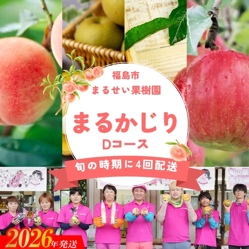 No.2364まるせい果樹園 【定期便4回】まるかじりDコース【2026年発送 先行予約】