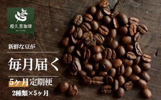 No.2701【豆】椏久里珈琲スペシャルティコーヒー5ヶ月定期便