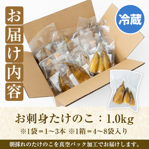 ＜先行予約受付中！2027年3月上旬以降順次発送予定＞ 【平日着】お刺身たけのこ(計1kg) 国産 鹿児島県産 朝採れ タケノコ 竹の子 筍 真空パック 野菜 春 旬 【上野食品】akn008-06-