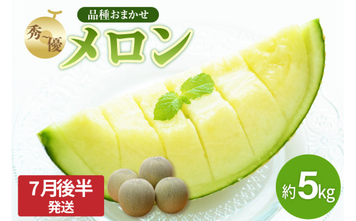【2026年先行予約】メロン 約 5kg 秀～優 7月 8月 ( 青肉 3～6玉 ）【2026年7月後半発送】【 津軽産 青森 緑肉 青肉メロン 】