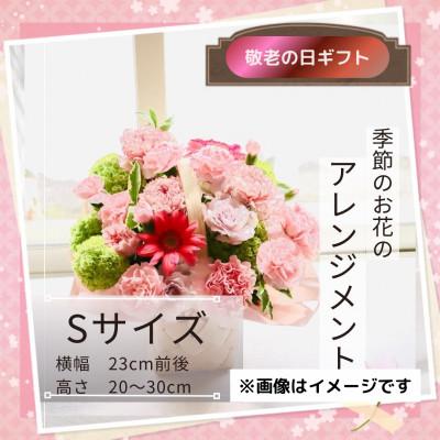 ふるさと納税 筑西市 【敬老の日】フラワーアンジメント/S〜花瓶不要!届いてそのまま飾れるフラワーアレンジ