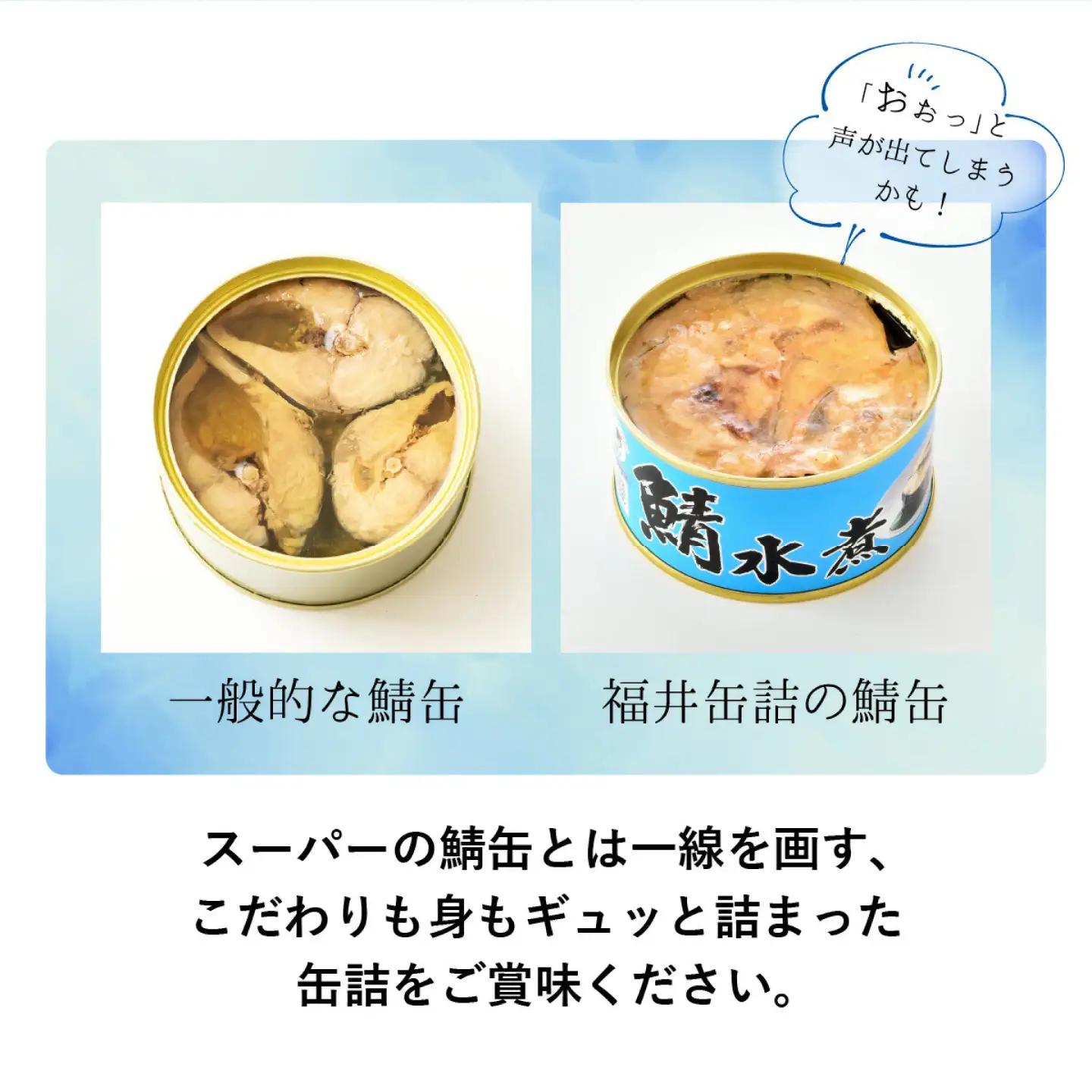 鯖缶詰12缶詰め合わせA / さば缶 缶詰 サバ 魚 小浜市 / 福井缶詰  [BFAB034]