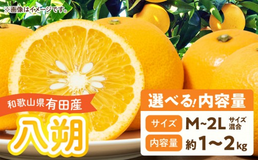 
                  【2027年先行予約】和歌山県有田産 八朔 約1kg M～2Lサイズ混合 はっさく 選べる 内容量 1kg 2kg M ～ 2L サイズ混合 完熟 甘み 増す デザート おやつ 果物 柑橘 お取り寄せ 和歌山県 湯浅町 送料無料 _DI6058-SKU
                