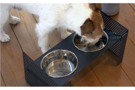 ＤＩＳＨ　ＳＴＡＮＤ（ペット用食器スタンド）【サイズ：Ｍ　カラー：サテンホワイト】※高さ・角度調整可能　組立式