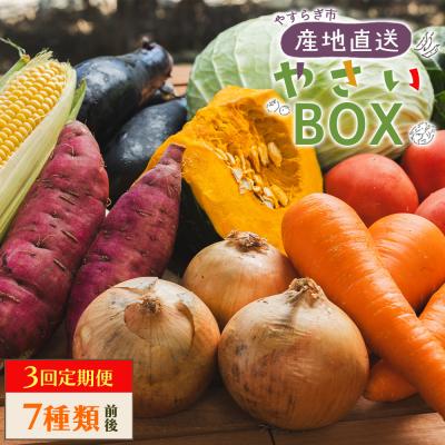 ふるさと納税 香南市 野菜 定期便 人気 3回定期便 やさいBOX(7種類前後) やすらぎ市 産地直送 Wyr-0035