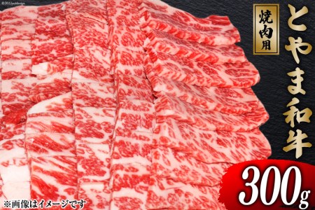 牛肉 とやま和牛 焼肉用 300g [JAみな穂 富山県 朝日町 34310364] 和牛 肉 焼肉 焼き肉 肩ロース A4ランク以上 朝日町産 冷凍