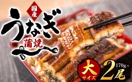 【大型サイズ】ふっくら柔らか 国産うなぎ蒲焼き 2尾/うなぎ ウナギ 鰻 うなぎ蒲焼 国産【uot302A-3】