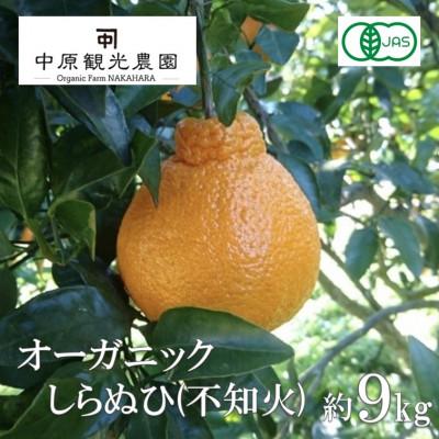 ふるさと納税 大崎上島町 【2027年2月より発送】中原観光農園　大崎上島産オーガニックしらぬひ 約9kg (有機JAS認証)