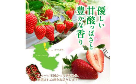 【先行予約】まりひめイチゴ4パック 食べやすいひと口サイズ M～L（15粒～20粒入×4パック）【2027年1月中旬?3月下旬頃に順次発送】（お届け日指定不可）/ いちご 苺 まりひめ 和歌山 フルー