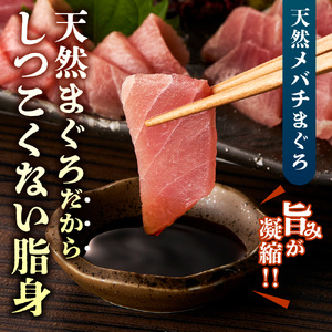 まぐろ切り落とし 100g×4パック｜天然 まぐろ 小分け 北海道 札幌市