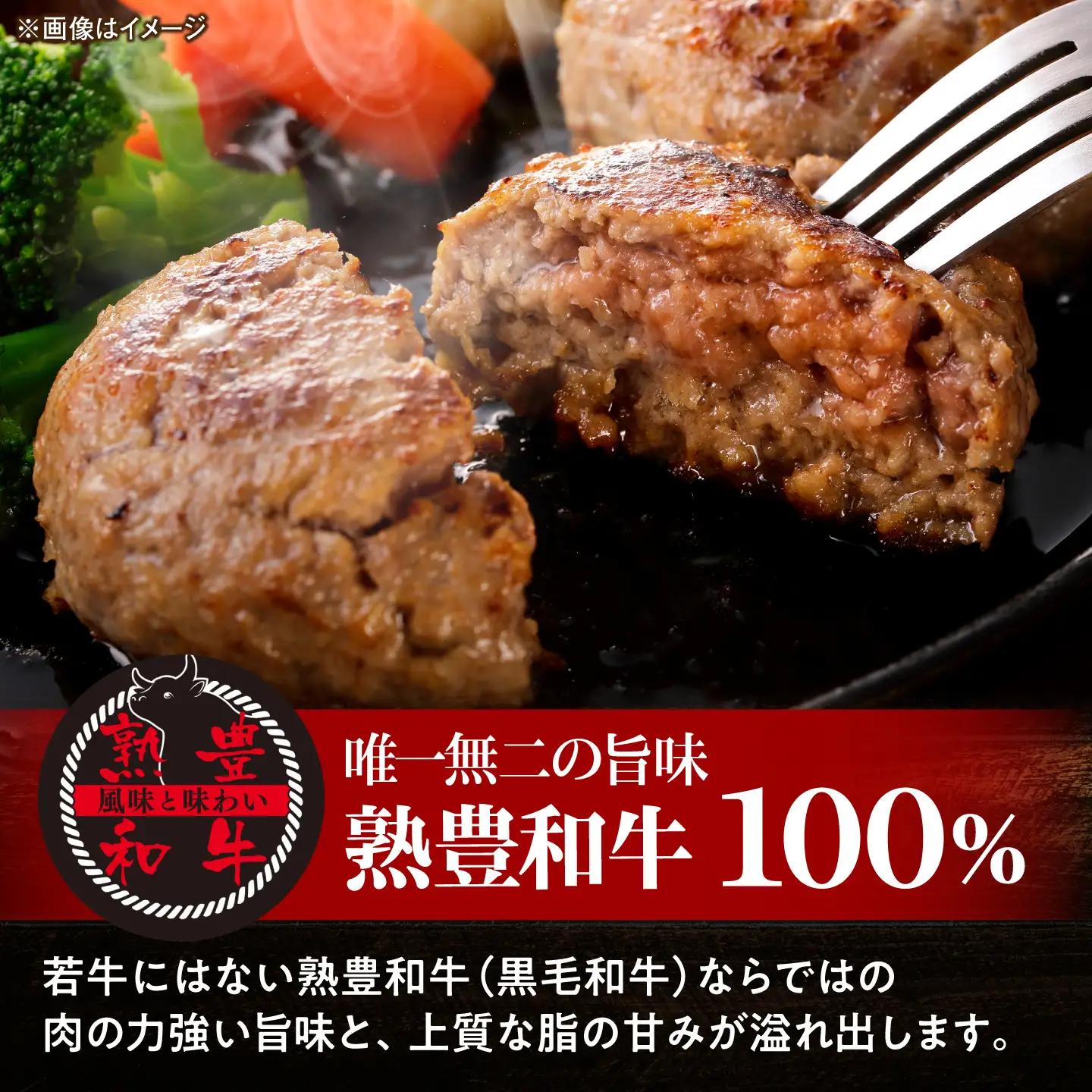 黒毛和牛100％デミグラスソースハンバーグ 計12個 島根県松江市/株式会社MJビーフ[ALIO006]