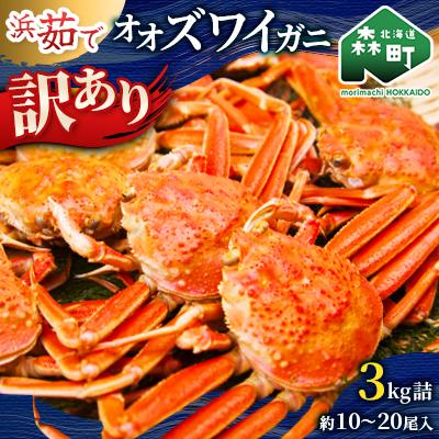 ふるさと納税 森町 【先行受付】【訳あり】浜茹でオオズワイガニ 3.0kg 詰め込みセット 北海道噴火湾産