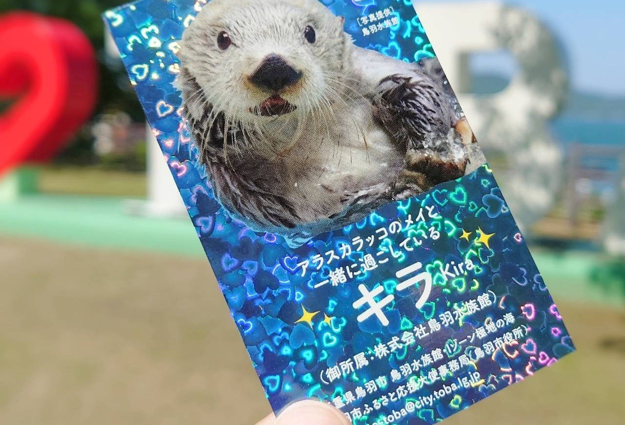 
                  K-4きらきらのきらのめいし
                