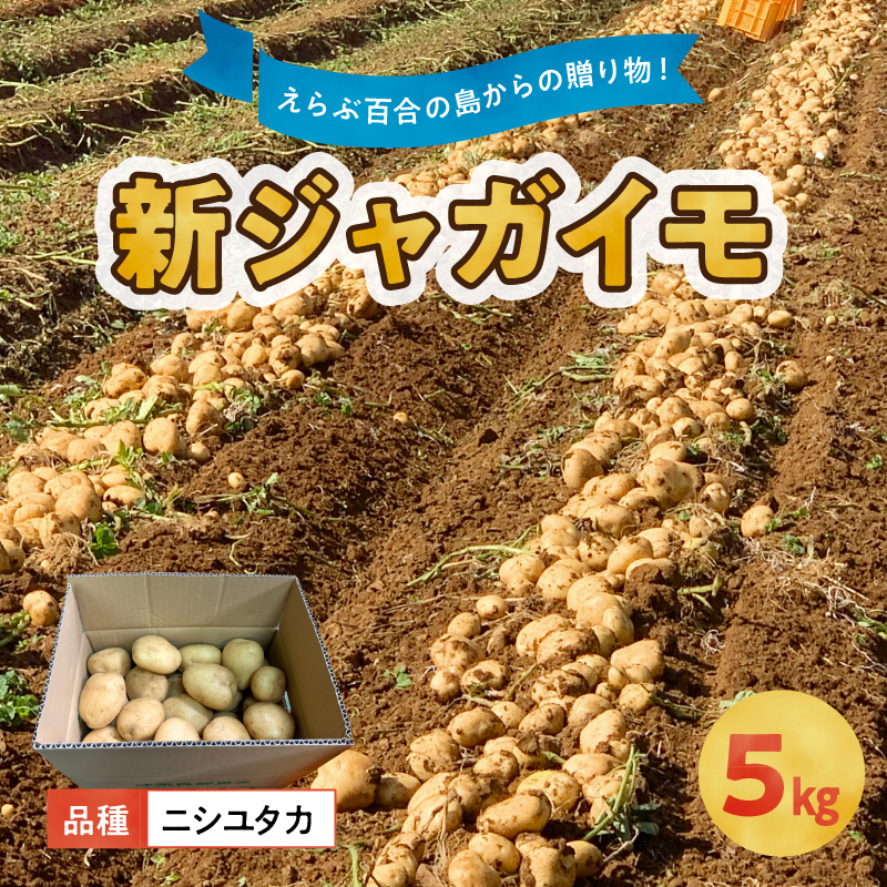 【2026年先行予約】沖永良部の赤土で育った新ジャガイモ 5kg（ニシユタカ）2～4月お届け　C054-001-01