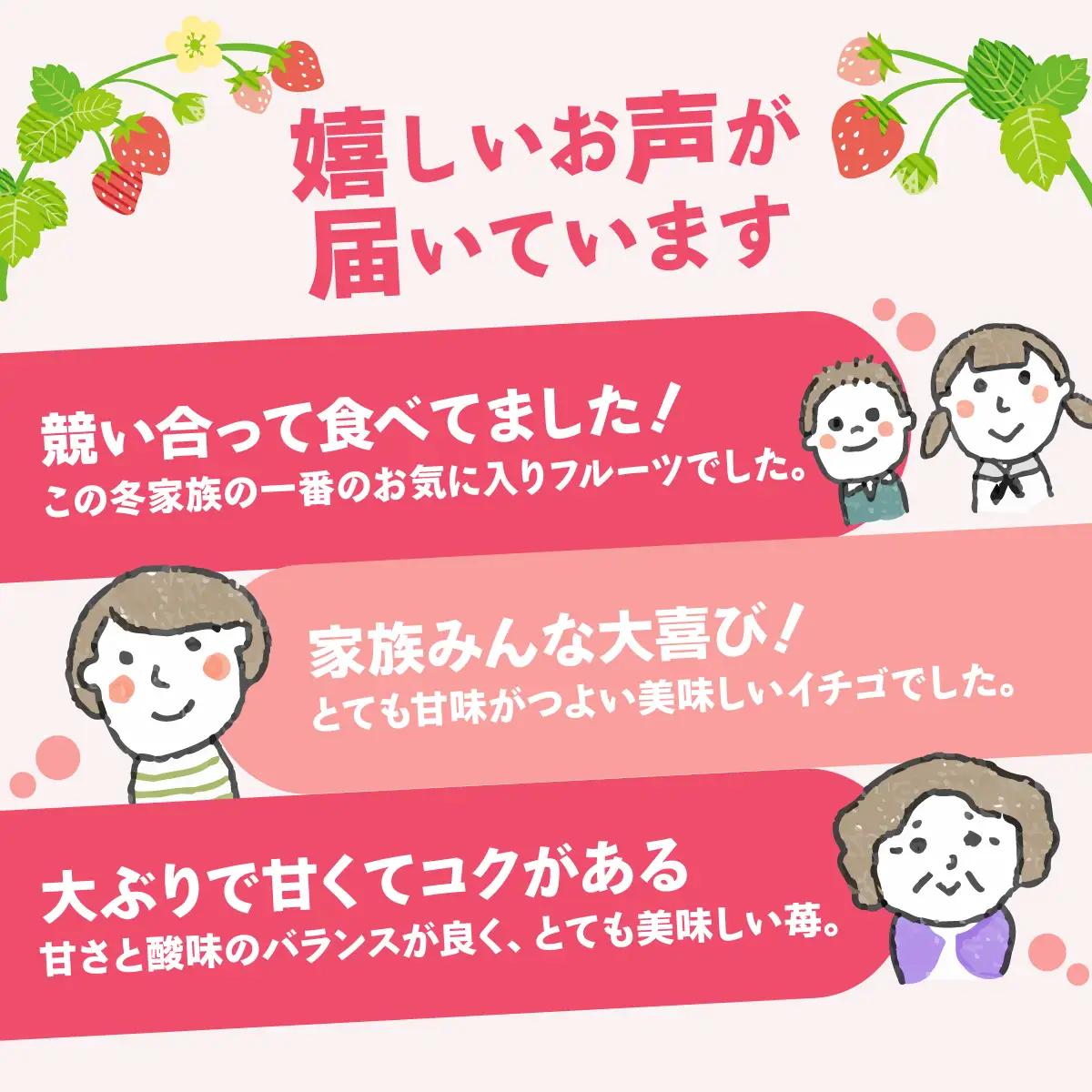 家庭用いちご やよいひめ ４パック 1120g いちご 群馬県 前橋市