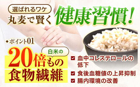 【2回定期便】長崎県産 丸麦 5kg / 麦 むぎ 雑穀 雑穀米 麦ごはん 麦飯 麦みそ 食物繊維 / 諫早市 / 有限会社伊東精麦[AHBU013]