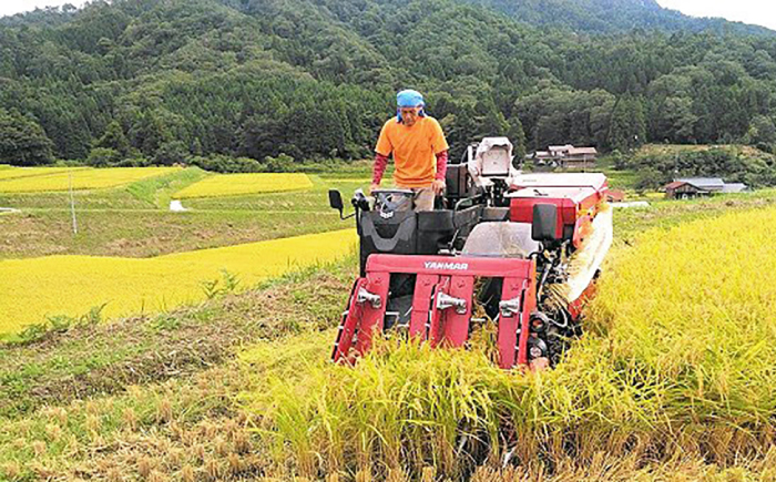 松江産矢田地区「つや姫」2kg×3袋とごはんのお供「東出雲町特産シソ肉味噌」80g×3個セット 島根県松江市/有限会社原田米穀 [ALBW003]