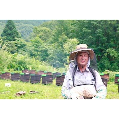 ふるさと納税 横手市 国産自家採集はちみつ2種詰め合わせ(アカシア・トチ　合計8本　9.6kg) |  | 03