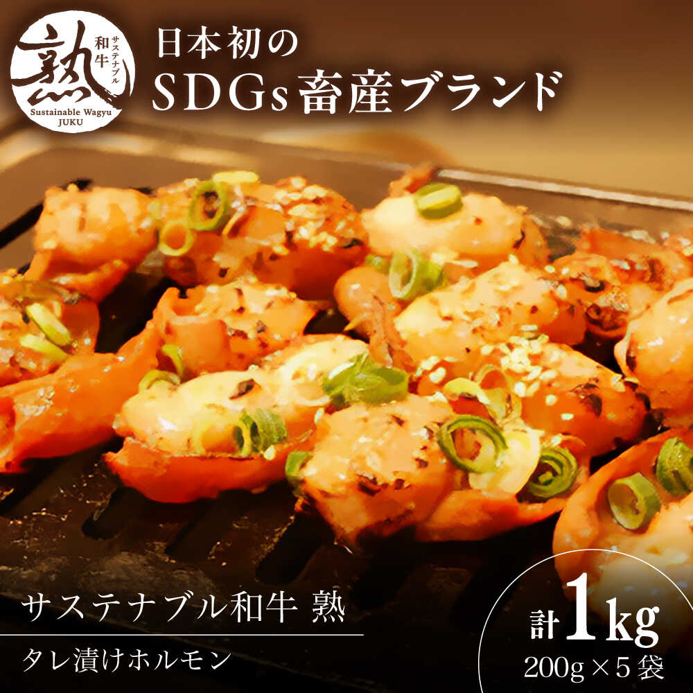 【ふるさと納税】 ホルモン サステナブル和牛 熟 タレ漬けホルモン5P 200g×5袋 計1キロ | サステナブル 和牛 熟 自家製 タレ漬け ホルモン 牛肉 肉 にく 小分け 焼肉 焼き肉 バーベキュー もつ鍋 惣菜 おかず おつまみ 冷凍 島根県雲南市/株式会社熟豊ファーム[AIAT019]