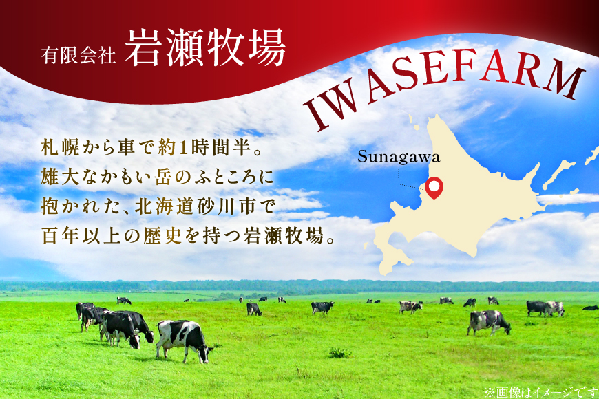 テレビで紹介！ アイス ジェラート ミルク 2L ファミリーサイズ ジャンボサイズ [岩瀬牧場 北海道 砂川市 12260961] 冷凍 アイスクリーム 詰め合わせ スイーツ