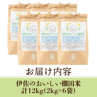 ふるさと納税 伊佐市 令和7年産 伊佐のおいしい棚田米 ヒノヒカリ(計12kg・2kg×6袋) |  | 03