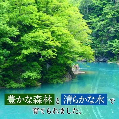 ふるさと納税 東成瀬村 東成瀬村産 もち米(きぬのはだ )2kg×2袋|07_nas-010201 |  | 03