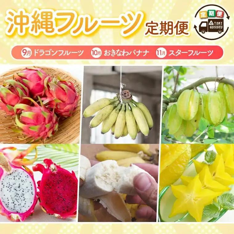 【2027年9月より順次発送】【3回定期便】沖縄フルーツ定期便（9・10・11月コース）｜フルーツ くだもの 果物 スターフルーツ ドラゴンフルーツ バナナ 名護パイン園 定期便 フルーツ定期便 沖縄フルーツ 先行予約 おきなわ 沖縄県 豊見城市(AC018)