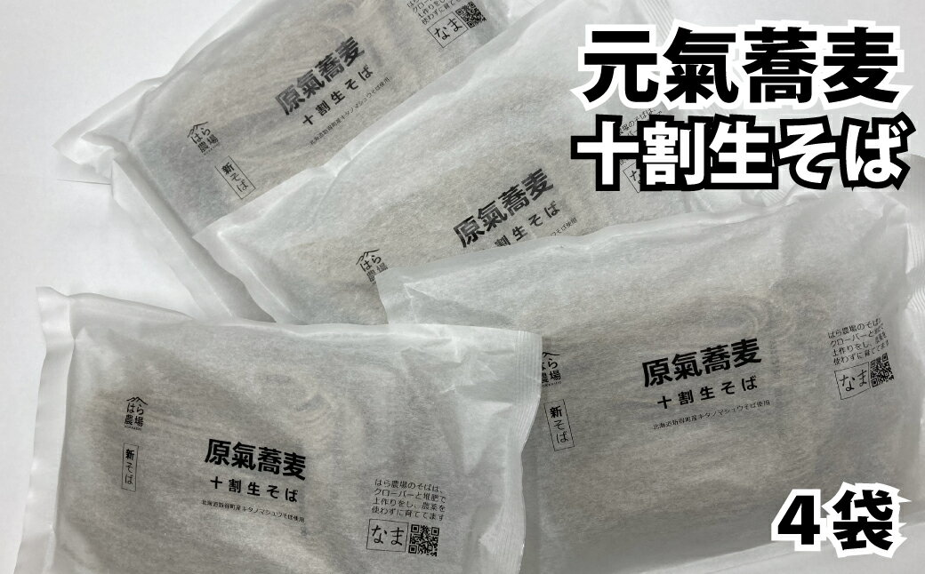 【ふるさと納税】原氣蕎麦十割生そば4袋【O-1503】