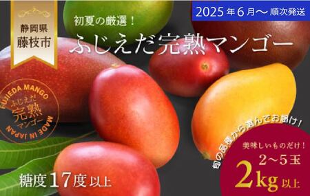 マンゴー 【オンライン決裁限定】 【 先行予約 : 2025年6月頃より順次発送 】 完熟マンゴー 2kg 糖度 | マンゴーマンゴーマンゴーマンゴー FN-SupportProject