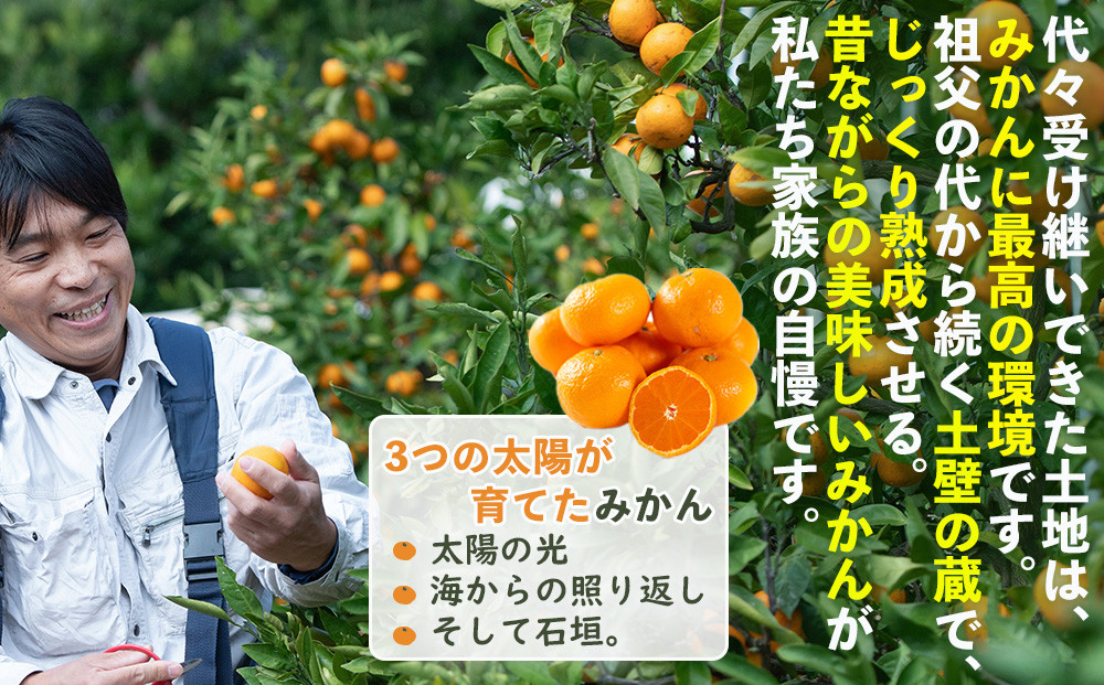 蔵出しみかん3kg SMLサイズお任せ【下津の蔵出しみかん】和歌山県鈴木農園より農園直送！｜蔵出しミカン 蔵出し蜜柑 蔵出しmikan 蔵出し下津みかん 蔵出ししもつみかん 蔵出し 冬眠みかん 贈答 