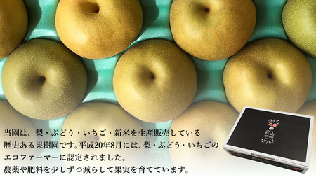 【 先行予約 】茨城県産 『幻の梨』 秀玉 約 3kg 7玉～9玉 ( 茨城県共通返礼品 : 常陸太田市 )  【 2025年 8月下旬頃より発送 】 フルーツ 果物 国産 日本産 梨 ナシ なし 和