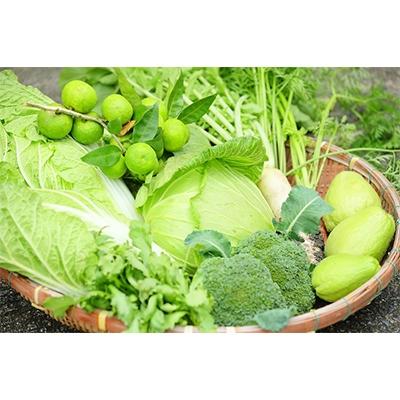 ふるさと納税 伊賀市 忍びの国の野菜セット(12品目以上) |  | 01