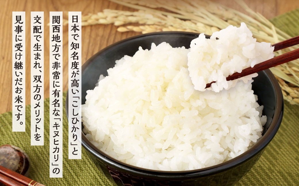 【令和7年度 新米 先行予約】 精米 食味鑑定士厳選 【3ヶ月定期便】 夢つくし 5kg×3回 計15kg