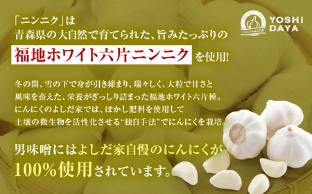 こうじなんばん【あとを引く辛さ！辛口100g×3個セット】【青森県産にんにく使用】
