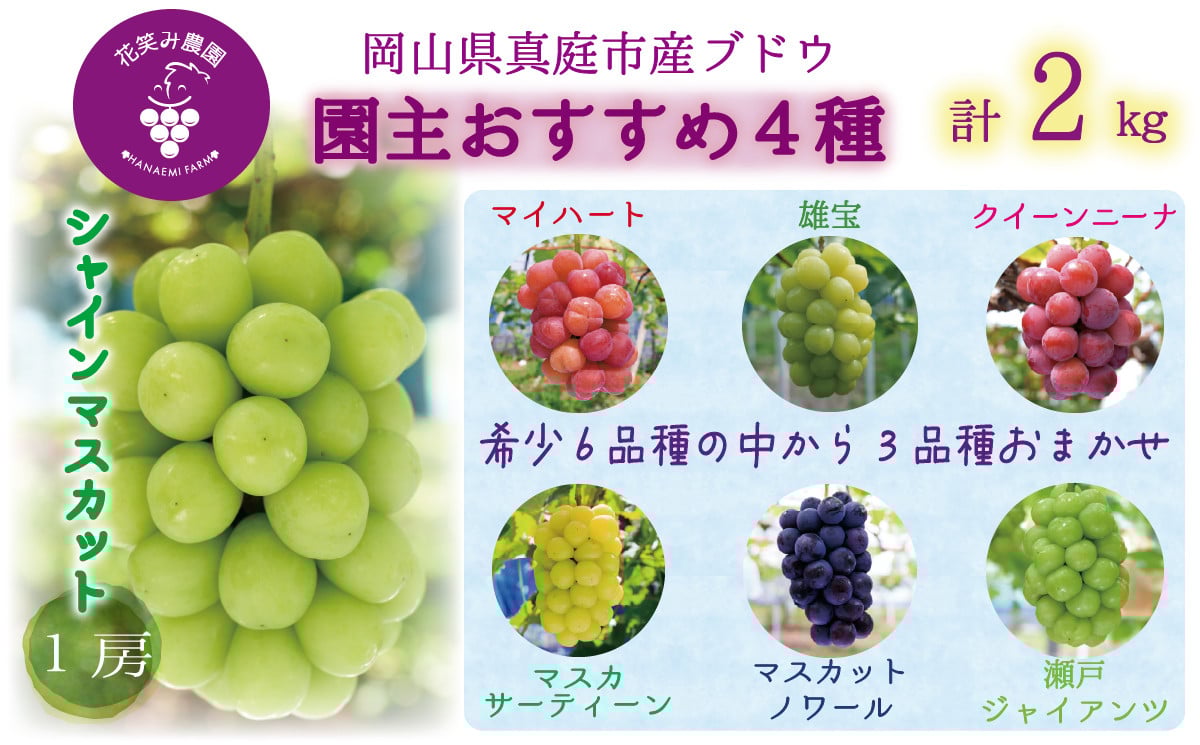 
            hana69.岡山　花笑み農園の『園主おすすめぶどう4種セット』(4房)
          