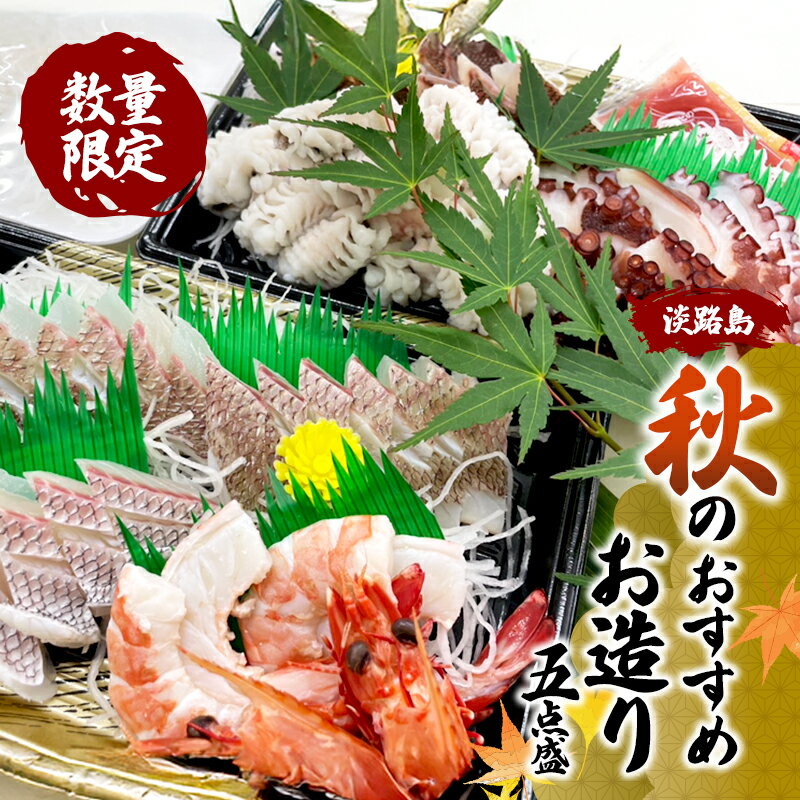 【ふるさと納税】淡路島 秋のおすすめお造り五点盛 数量限定 魚 魚介類 お造り 兵庫県 洲本市　お届け：2025年9月下旬～2025年11月下旬まで