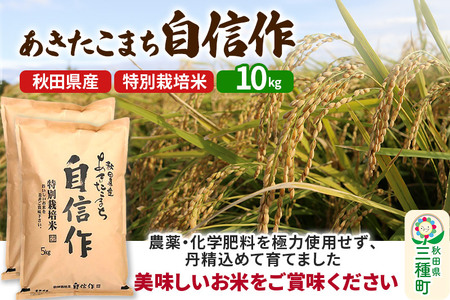 【白米】あきたこまち 自信作 10kg(5kg×2袋) 令和7年産  