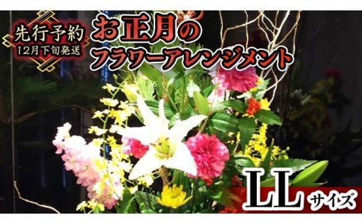 
                  【 お正月 の お花 】フラワー アレンジメント LL お正月 花 生花 縁起物 フラワーアレンジメント ギフト 
                