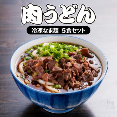ふるさと納税 宮崎市 《大盛うどん》肉うどん　冷凍なま麺5食セット