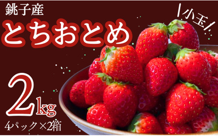 先行予約 いちご とちおとめ 小玉 約2kg （250g×8パック） 果物 ﾌﾙｰﾂ ｾﾞﾘｰ ｹｰｷ ｼｮｰﾄｹｰｷ 苺大福 ｼﾞｬﾑ ｱｲｽ ｼﾞｭｰｽ 新鮮 産直 送料無料 千葉県 銚子市 神原いちご園 苺 ｲﾁｺﾞ ｽﾄﾛﾍﾞﾘｰ 苺 ｲﾁｺﾞ ｽﾄﾛﾍﾞﾘｰ 苺 ｲﾁｺﾞ ｽﾄﾛﾍﾞﾘｰ 苺 ｲﾁｺﾞ ｽﾄﾛﾍﾞﾘｰ 苺 ｲﾁｺﾞ ｽﾄﾛﾍﾞﾘｰ 苺 ｲﾁｺﾞ ｽﾄﾛﾍﾞﾘｰ 苺 ｲﾁｺﾞ ｽﾄﾛﾍﾞﾘｰ 苺 ｲﾁｺﾞ ｽﾄﾛﾍﾞﾘｰ 苺 ｲﾁｺﾞ ｽﾄﾛﾍﾞﾘｰ 苺 ｲﾁｺﾞ ｽﾄﾛﾍﾞﾘｰ 苺