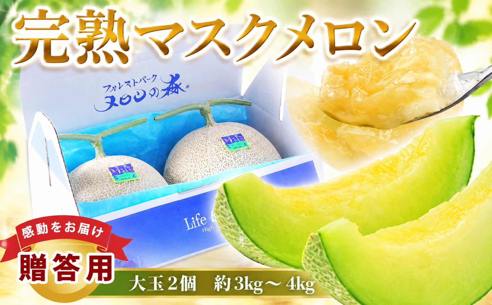 
                  メロン めろん 茨城  2026年発送 2玉 約3～4kg 果物 くだもの フルーツ 果実 青肉 青肉メロン 2個 国産 アールスメロン マスクメロン あーるすめろん ますくめろん meron melon 旬 デザート 産地直送 農家直送 数量限定 期間限定 贈答用 プレゼント ギフト 贈り物 完熟 茨城県 鉾田市 メロンの森
                