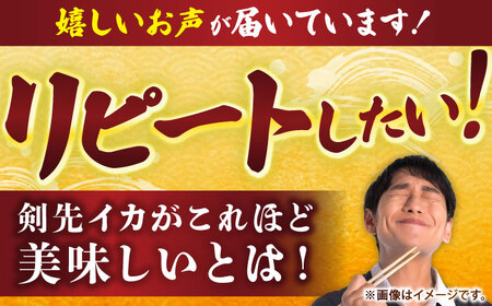 剣先イカ 刺身用 500g [JCC024] イカ刺し