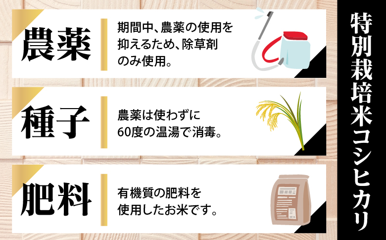  令和六年産特別栽培米 コシヒカリ 5kg お米 コシヒカリ