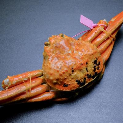 ふるさと納税 京丹後市 【急速冷凍　松葉ガ二】魚政BLACK 茹でズワイガニ　大サイズ 1杯【姿のまま】カニ酢付き |  | 01