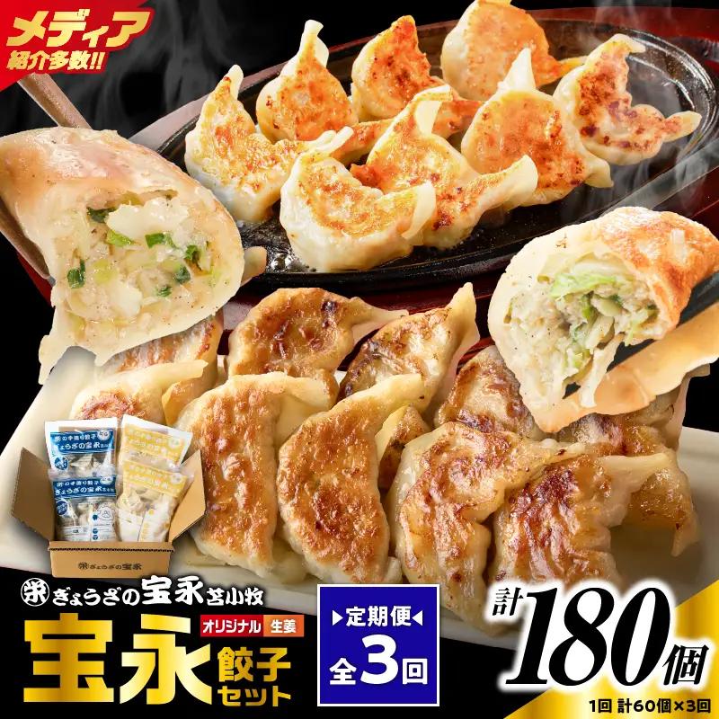 【定期便・全3回 毎月】手包み餃子 ぎょうざの宝永 生姜餃子60個セット（宝永餃子15個入×2袋・生姜餃子15個入×2袋） T004-T05-02-02 定期便 定期 惣菜 総菜 餃子
