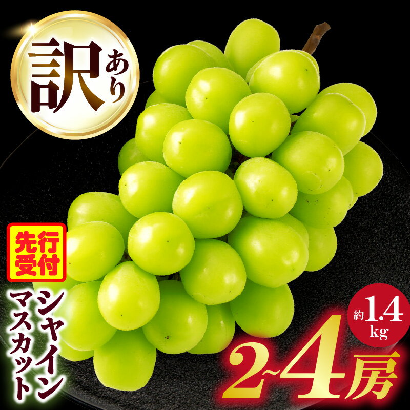 【ふるさと納税】 ＼先行予約／ 【2026年発送】訳ありシャインマスカット 約1.4kg入り 2～4房 シャイン マスカット ぶどう 果物 果実 果汁 人気 おすすめ シャインマスカット フルーツ デザート 種無しシャインマスカット 不揃い 訳あり 香川県 三木町 送料無料