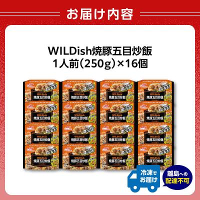ふるさと納税 大江町 マルハニチロ 冷凍食品 WILDish 焼豚五目炒飯 1人前×16個入り 045-007 |  | 02